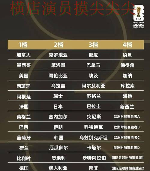 揭秘世界杯竞猜网站：从直播入口到直播观看全流程解析 - 世界杯官方信息